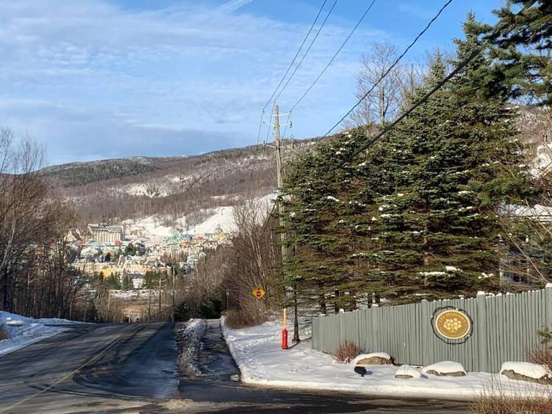 Chalet-Style Condo - 5 minutes to Lifts and village! - image 7