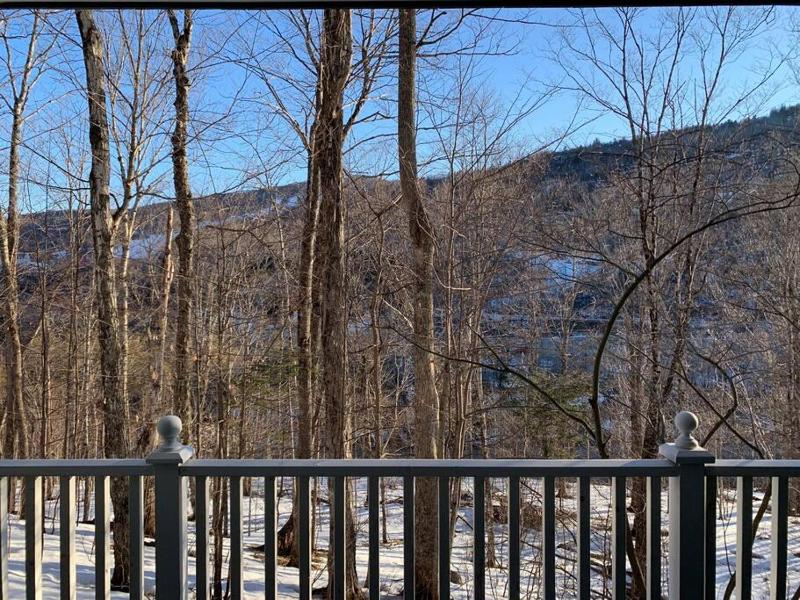 Chalet-Style Condo - 5 minutes to Lifts and village! - image 21