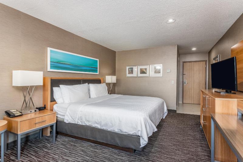 Standard King Room image 3