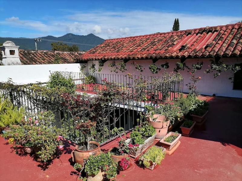 La Casa de la Abuela - image 11