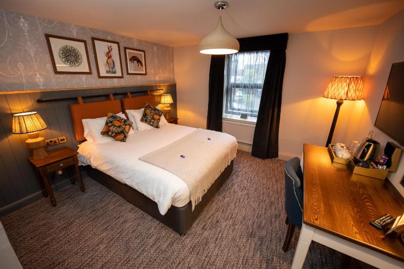 King Room image 1