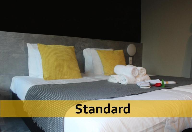 Standard Twin Room image 1