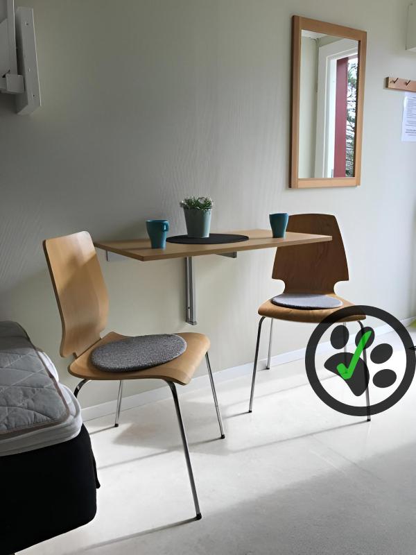 Twin Room - Pet Friendly image 3
