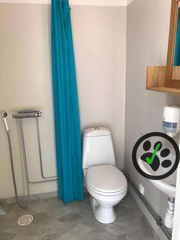 Twin Room - Pet Friendly image 4