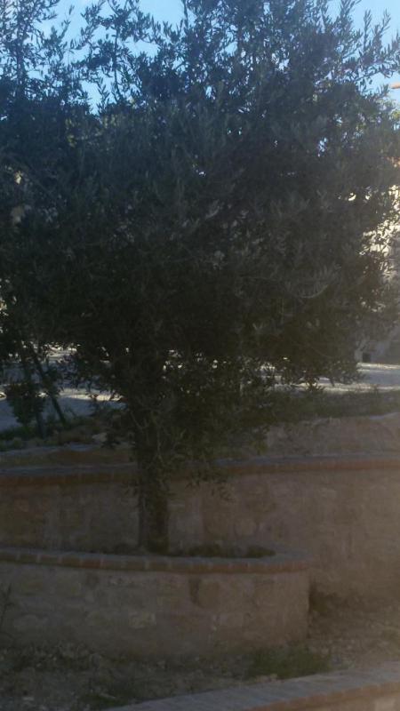 Agriturismo Villalta - image 17