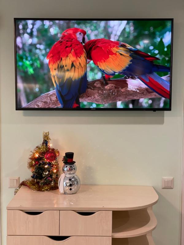 One-Bedroom Apartment image 3