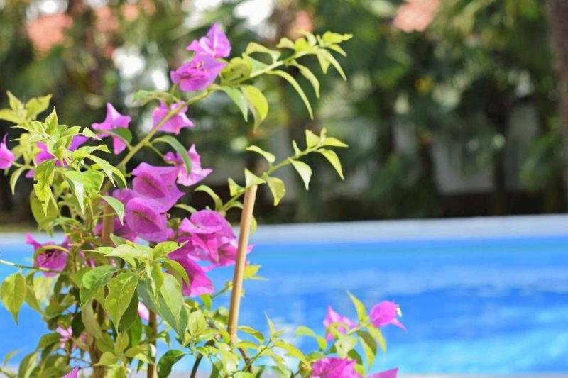 Studio Apartment in Porec with Sea View Balcony Air Conditioning WLAN 819-6 - image 7