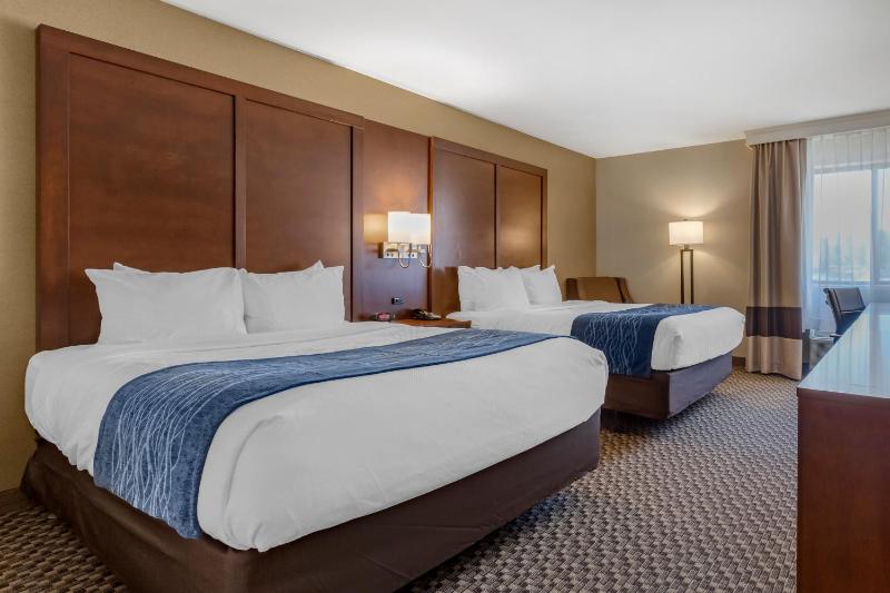 Queen Room with Two Queen Beds - Non-Smoking image 2