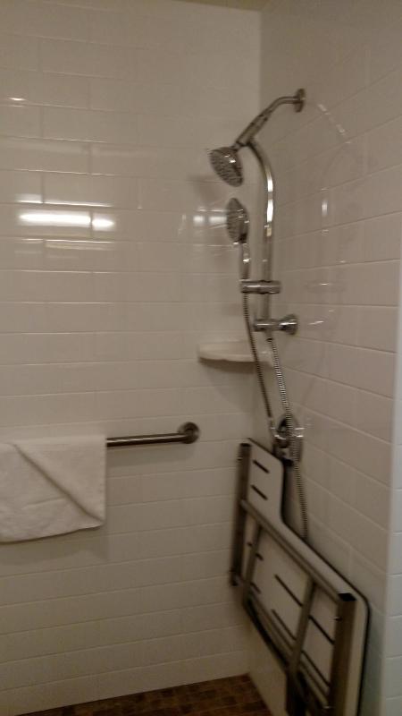 Deluxe 1 Queen bed / Sofa sleeper / Disability Access image 4