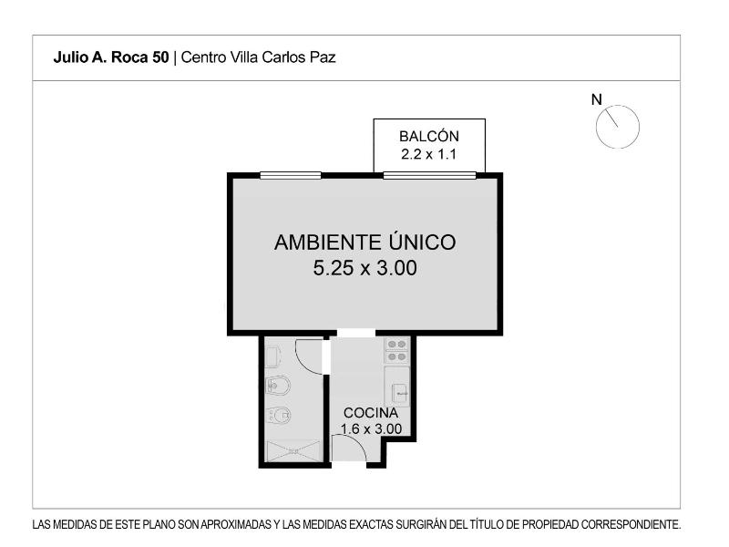 DEPARTAMENTO ROCA - image 13