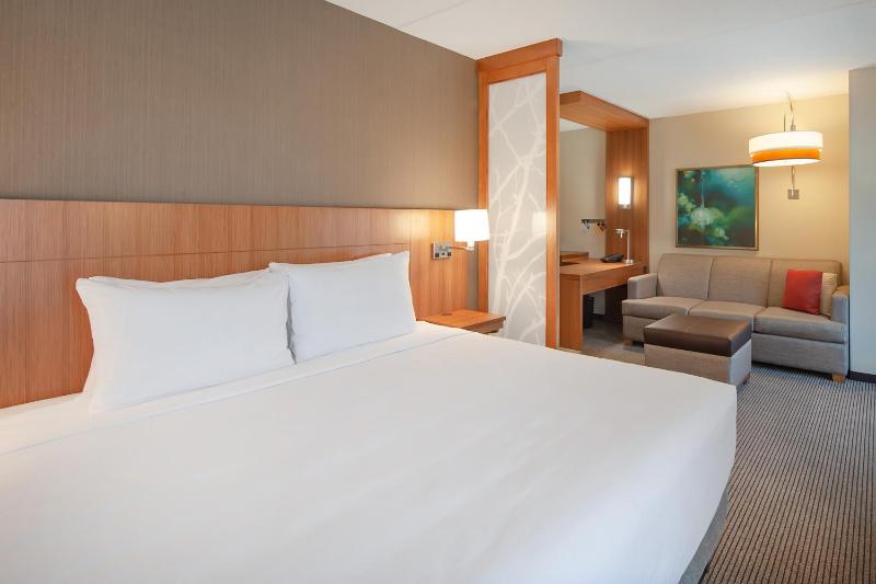 King Room with Sofa Bed image 4