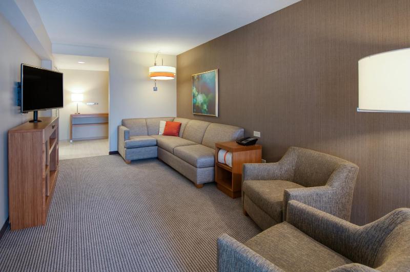 One-Bedroom King Suite with Sofa Bed image 1