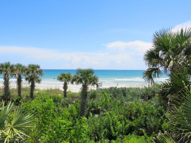 New Smyrna Waves MOD Collection by Sonesta - image 44