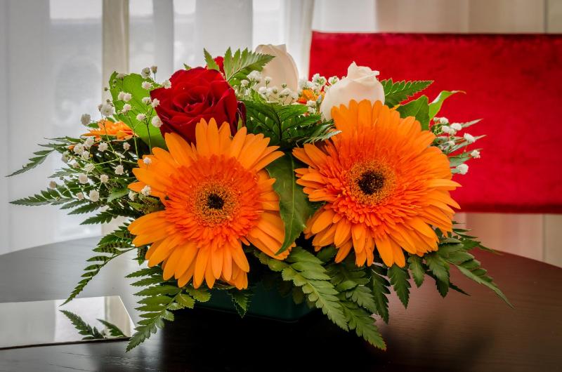 Standard Double Room image 2