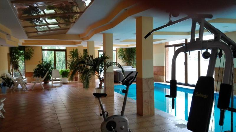 Balaton Wellness Apartman - image 44