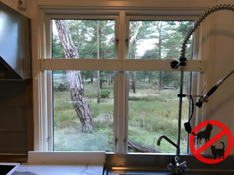 Standard Single Room with Shared Bathroom image 2