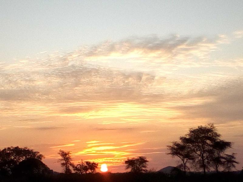 Zimbe Host Arusha - image 15