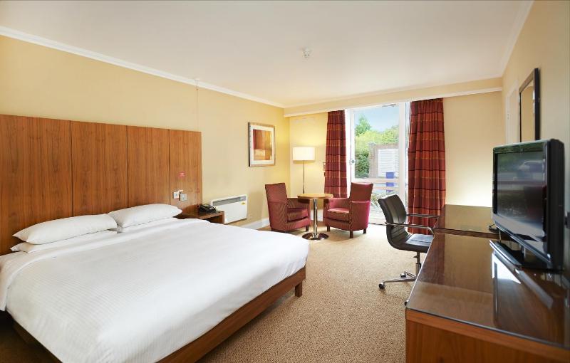 King Deluxe Room image 1