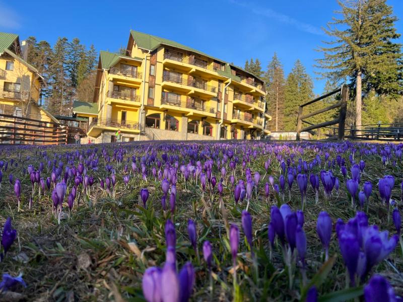 Hotel Casa Viorel Images