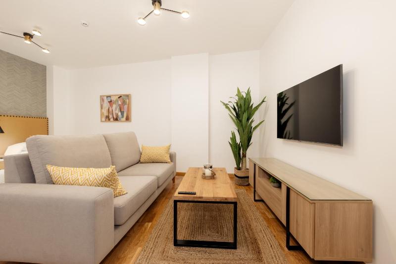 One-Bedroom Apartment image 3