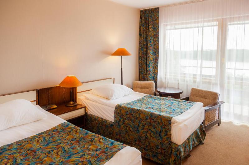 Double or Twin Room image 4