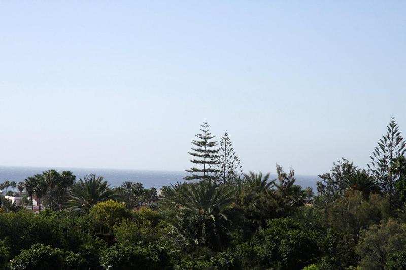 Apartamentos Los Tilos - image 22