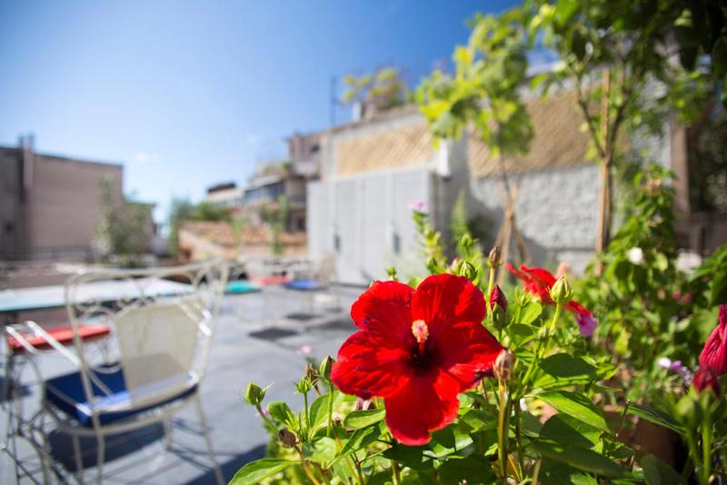 Architect designed studio with green rooftop! EP7R - image 16