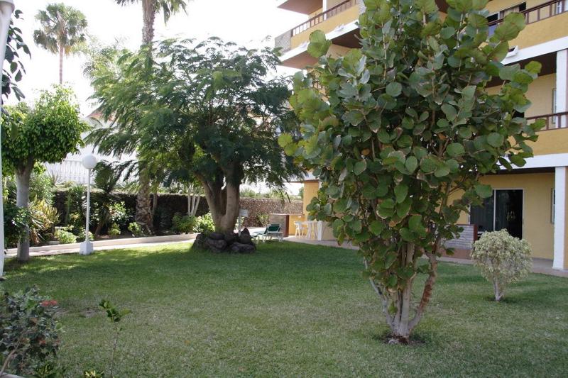 Apartamentos Los Tilos - image 4