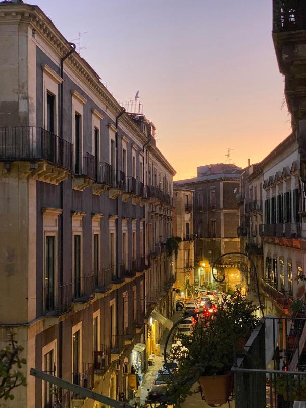  Medium One-Bedroom Apartment - Split Level Oro image 1