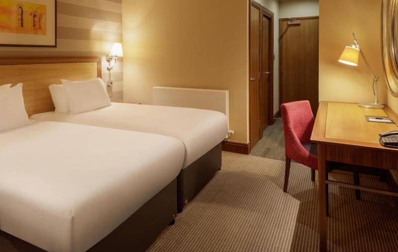 Deluxe Twin Room image 4