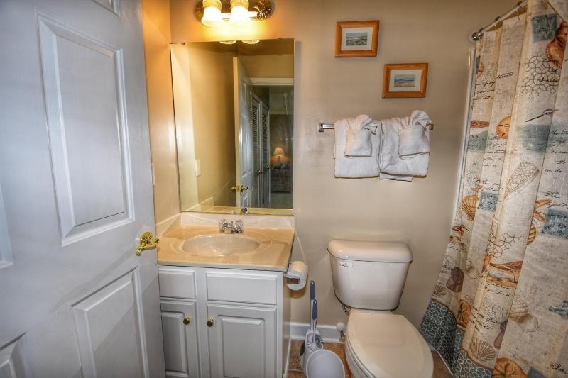 421 The Havens condo - image 6