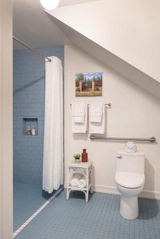 Deluxe King Suite image 2