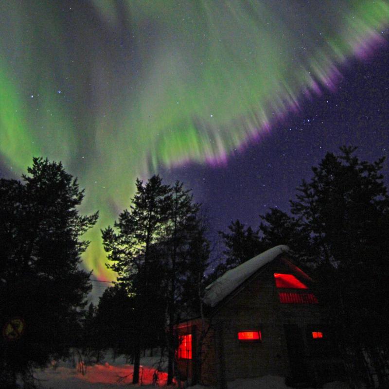 One-Bedroom Cottage with Sauna image 3