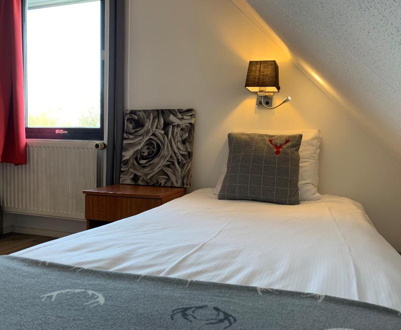 Budget Single Room image 1