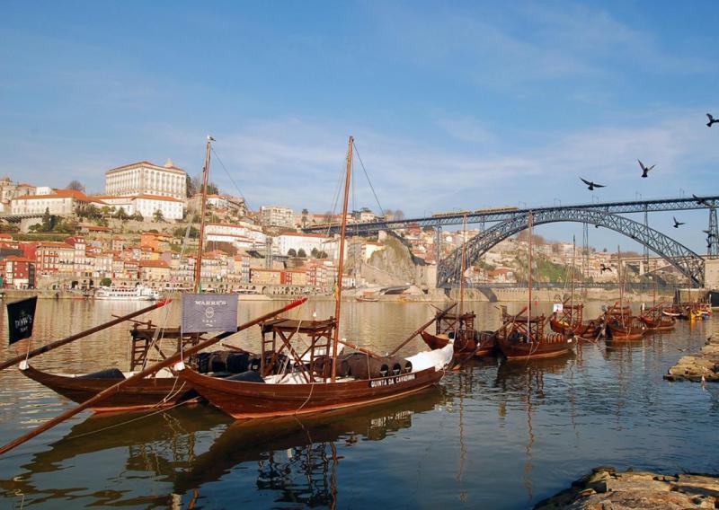 BmyGuest - Patio de Santa Catarina Apartment - image 14