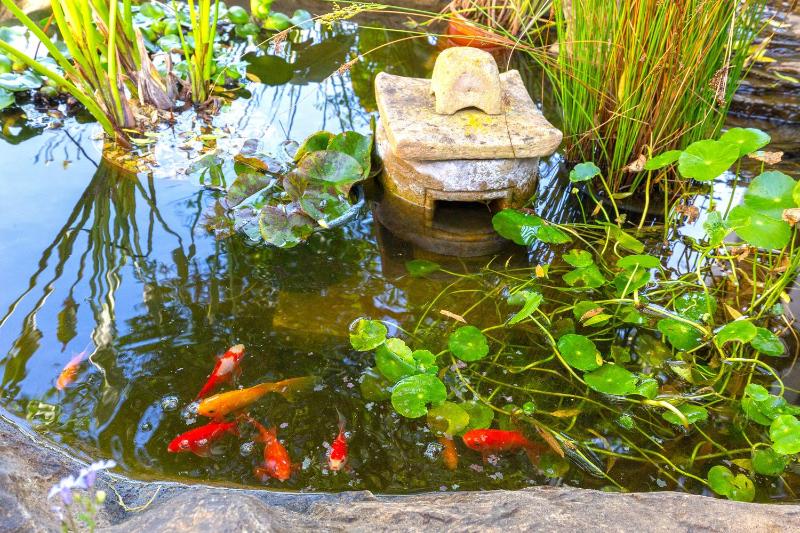 Le Mahi Guest House - image 11