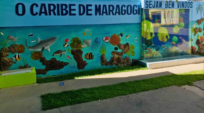 Pousada o Caribe de Maragogi - image 45