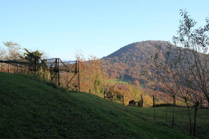 Casa al Sasso - image 40