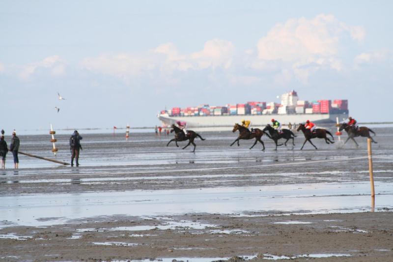 Ferienwohnungen Auf der Düne - image 16