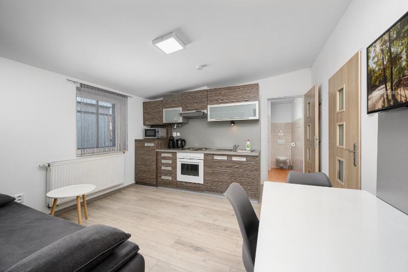 One-Bedroom Apartment image 1
