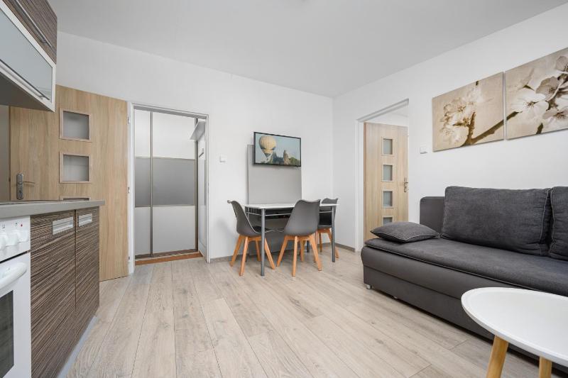 One-Bedroom Apartment image 3
