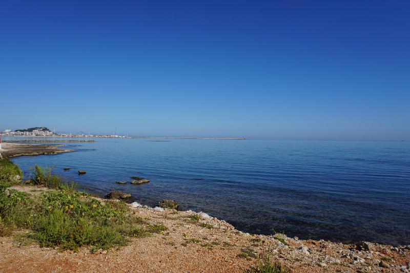 RINCONCILLO - image 33