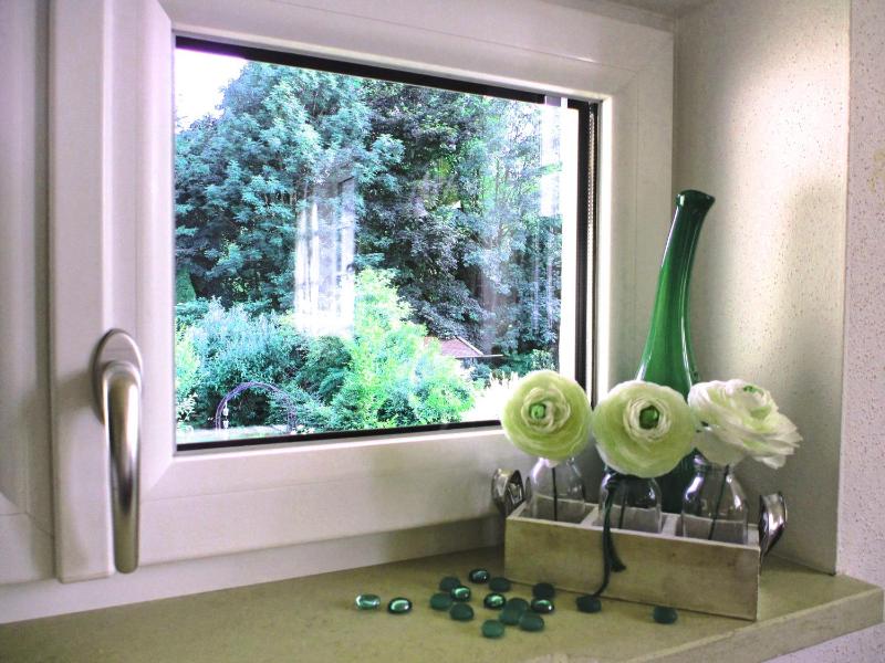 One-Bedroom Apartment image 2