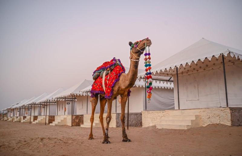Best Desert Camp In Jaisalmer Red Velvet - image 9