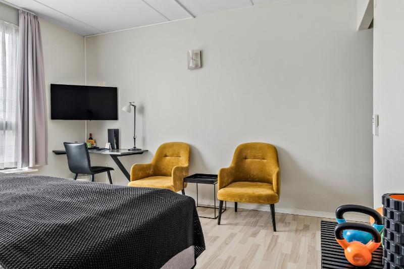 Business King Room image 3