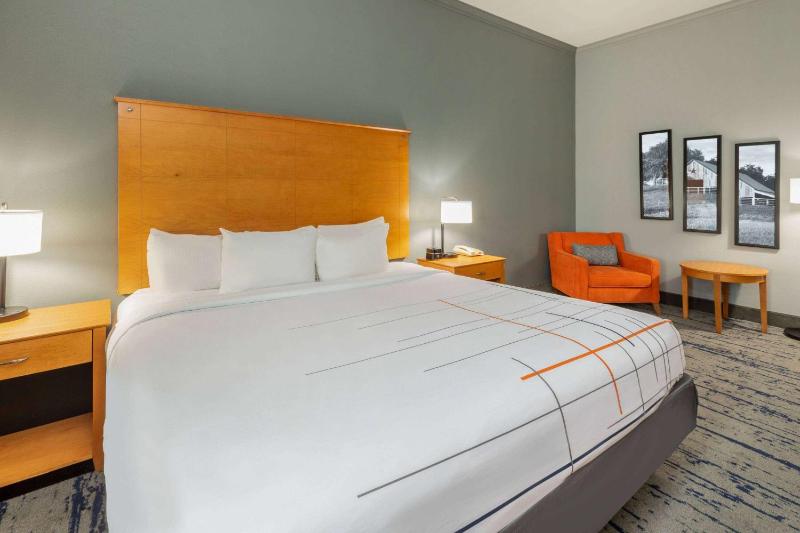 Premier Room with One King Bed and Jetted Tub image 2