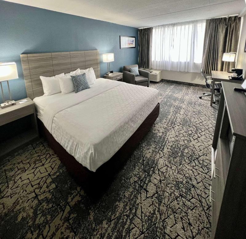 Standard King Room - Non-Smoking  image 1