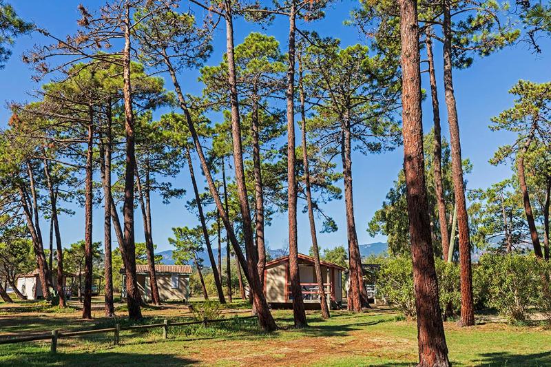One-Bedroom Chalet (2 Adults) without air conditioning image 1
