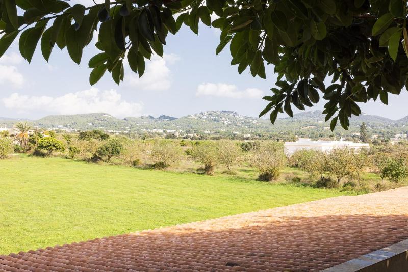 Xereca Suite image 2