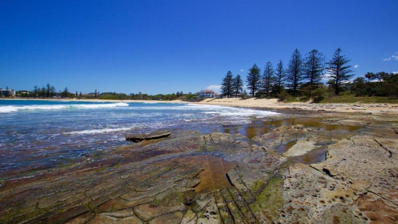21 Cooroora Street Dicky Beach QLD - image 3